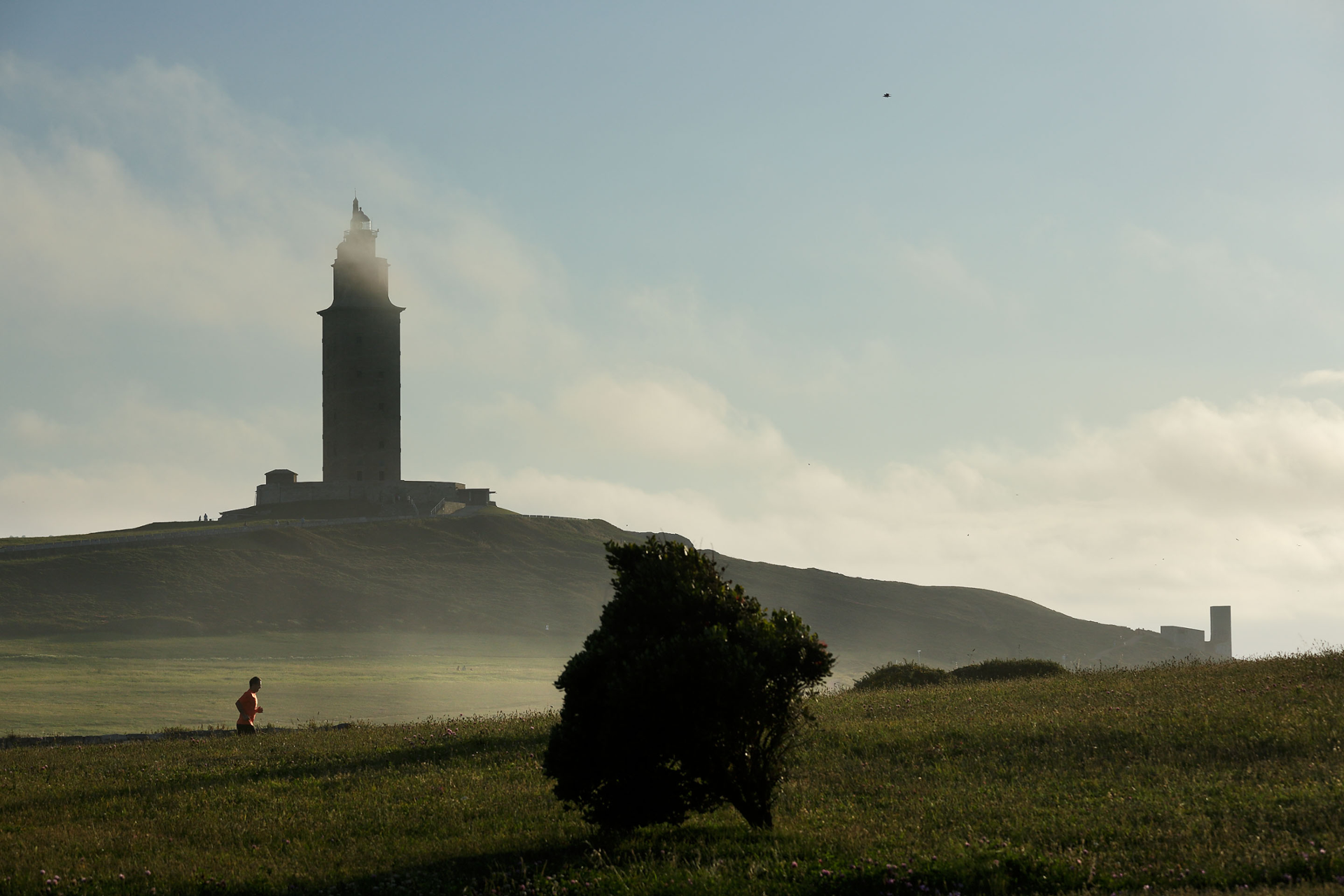 Torre