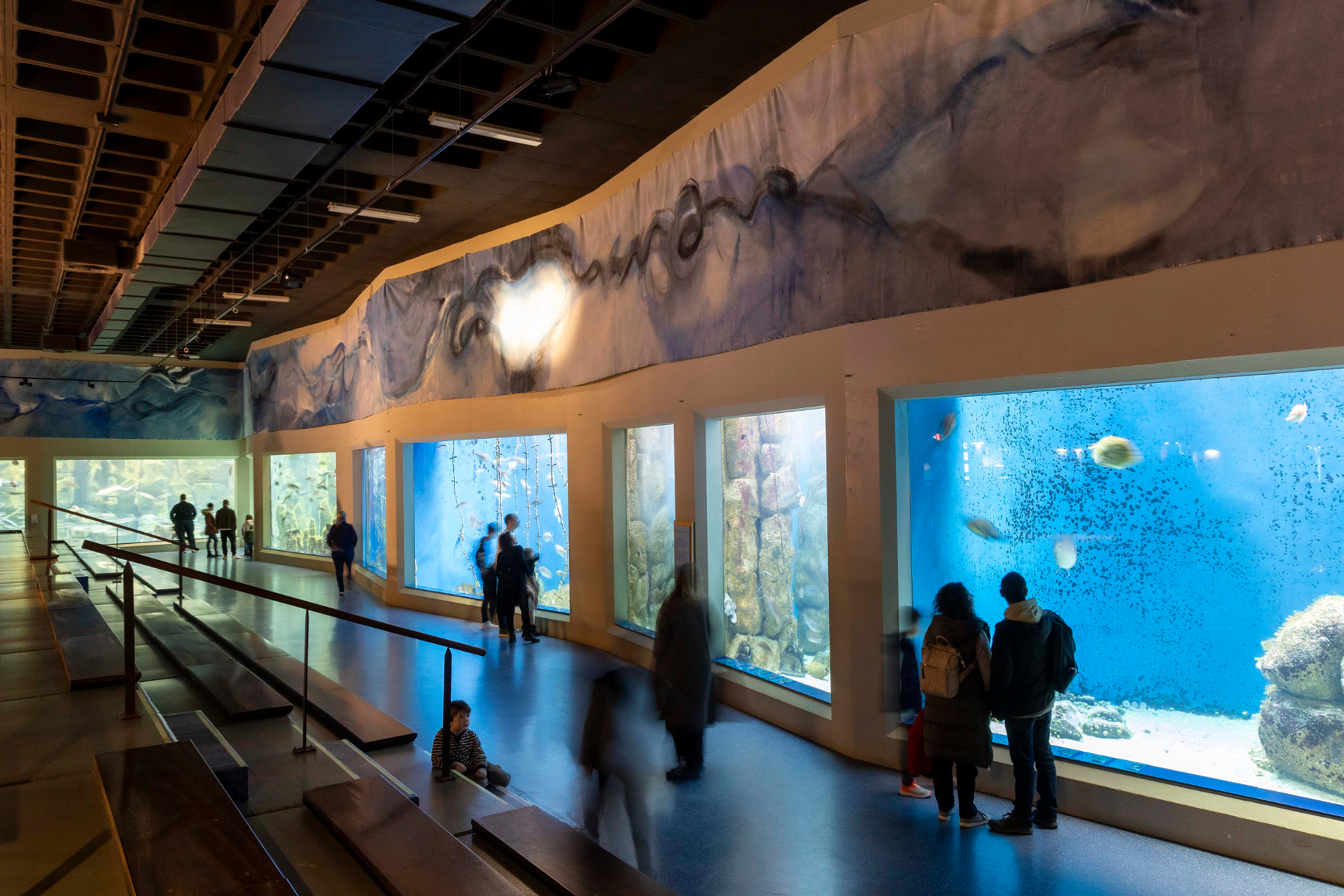 Aquarium