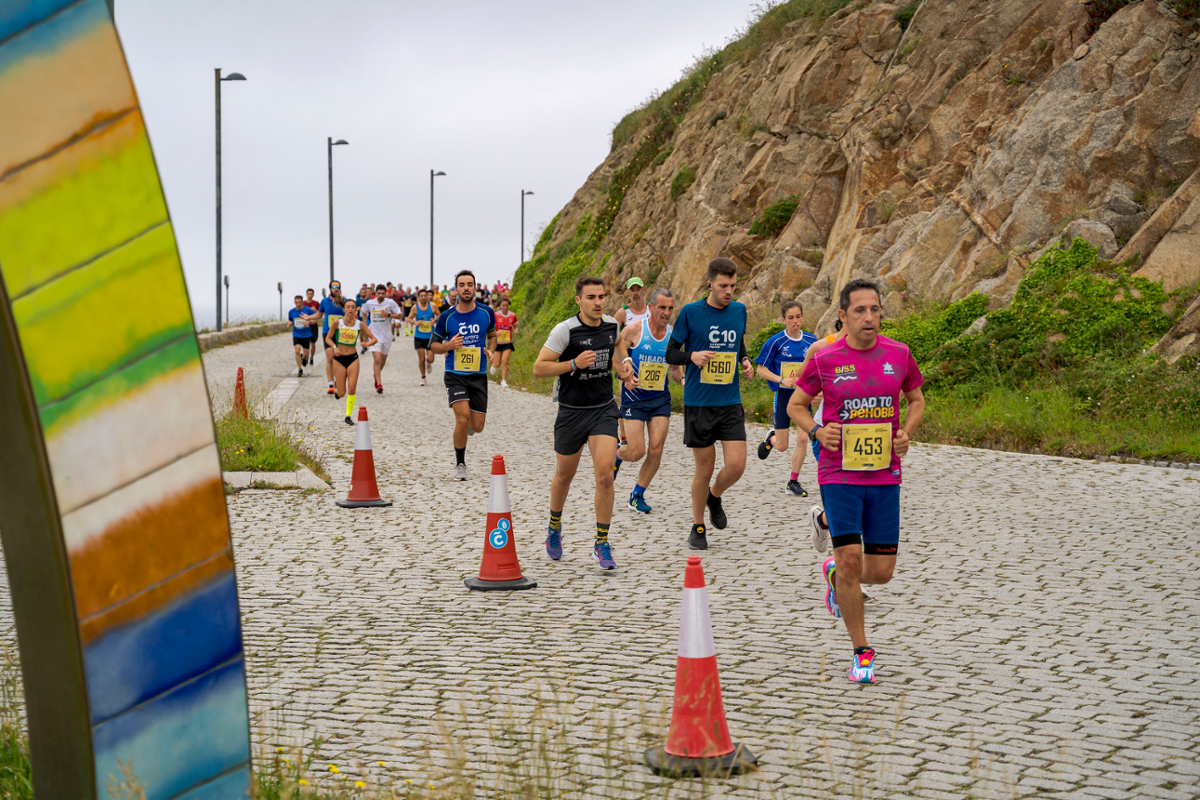 Participantes