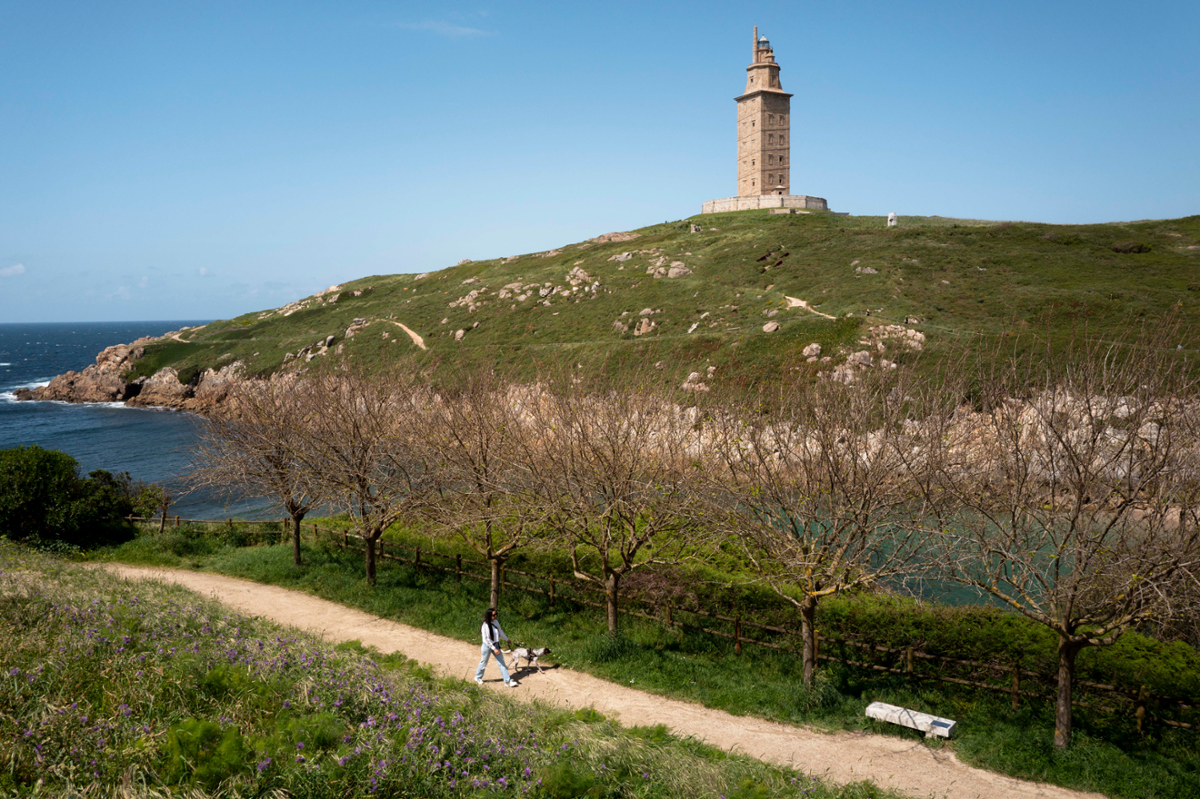 Torre