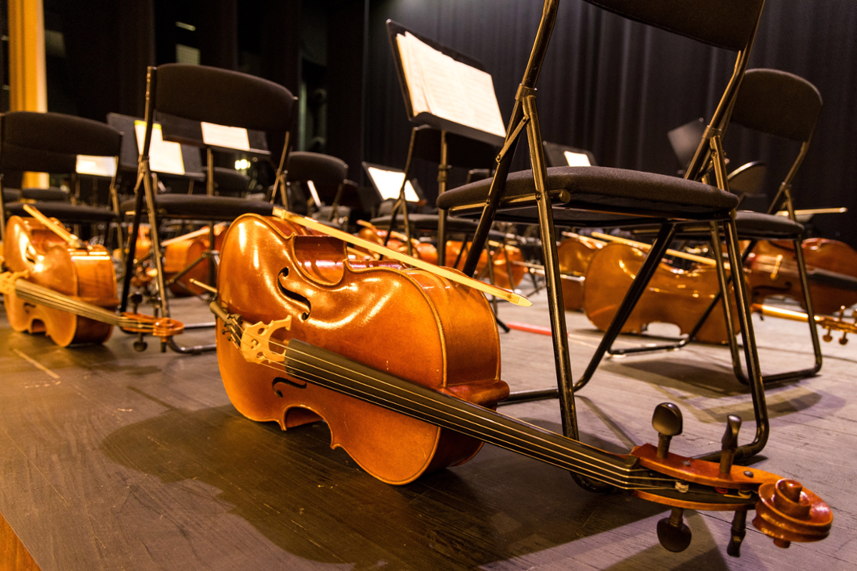 Violín