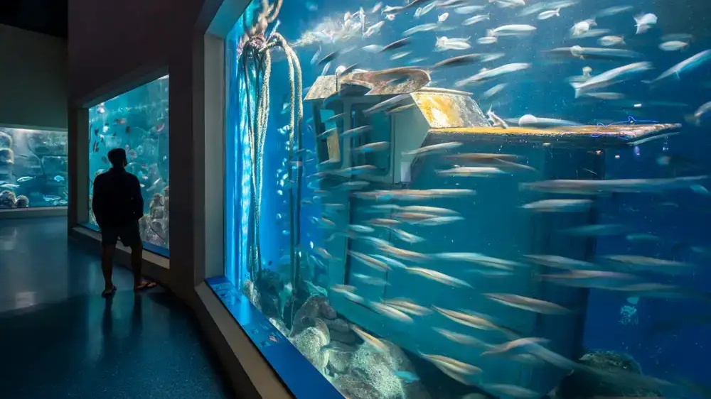 museos cientificos